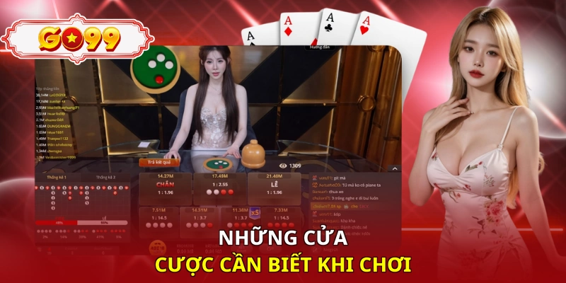 Những cửa cược cần biết khi chơi